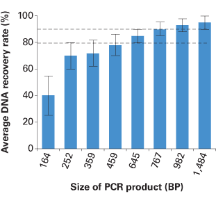 High recovery of purified DNA