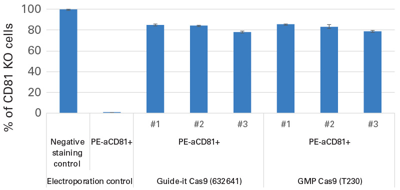 Knockout of CD81 in 293T/17 cells.