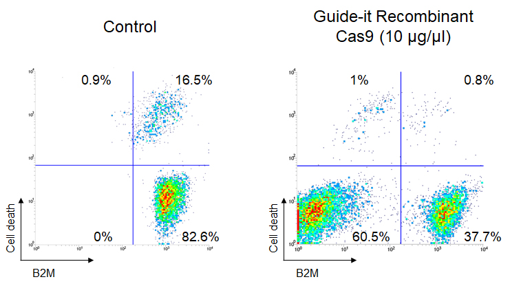 Knockout of B2M in CD3+ Pan T cells